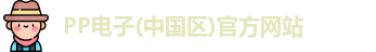 pp电子